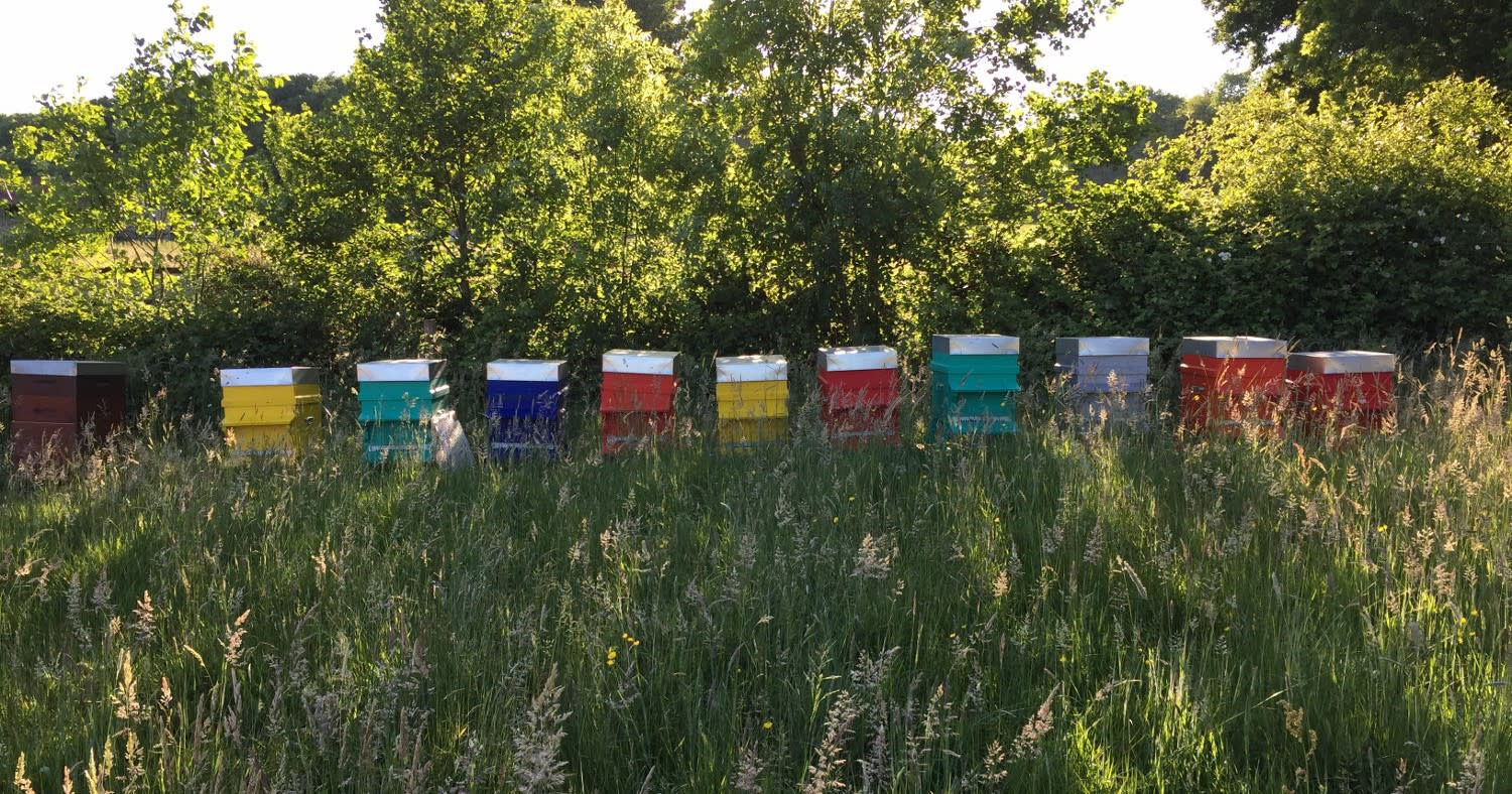 Apiculture Clos Ferout