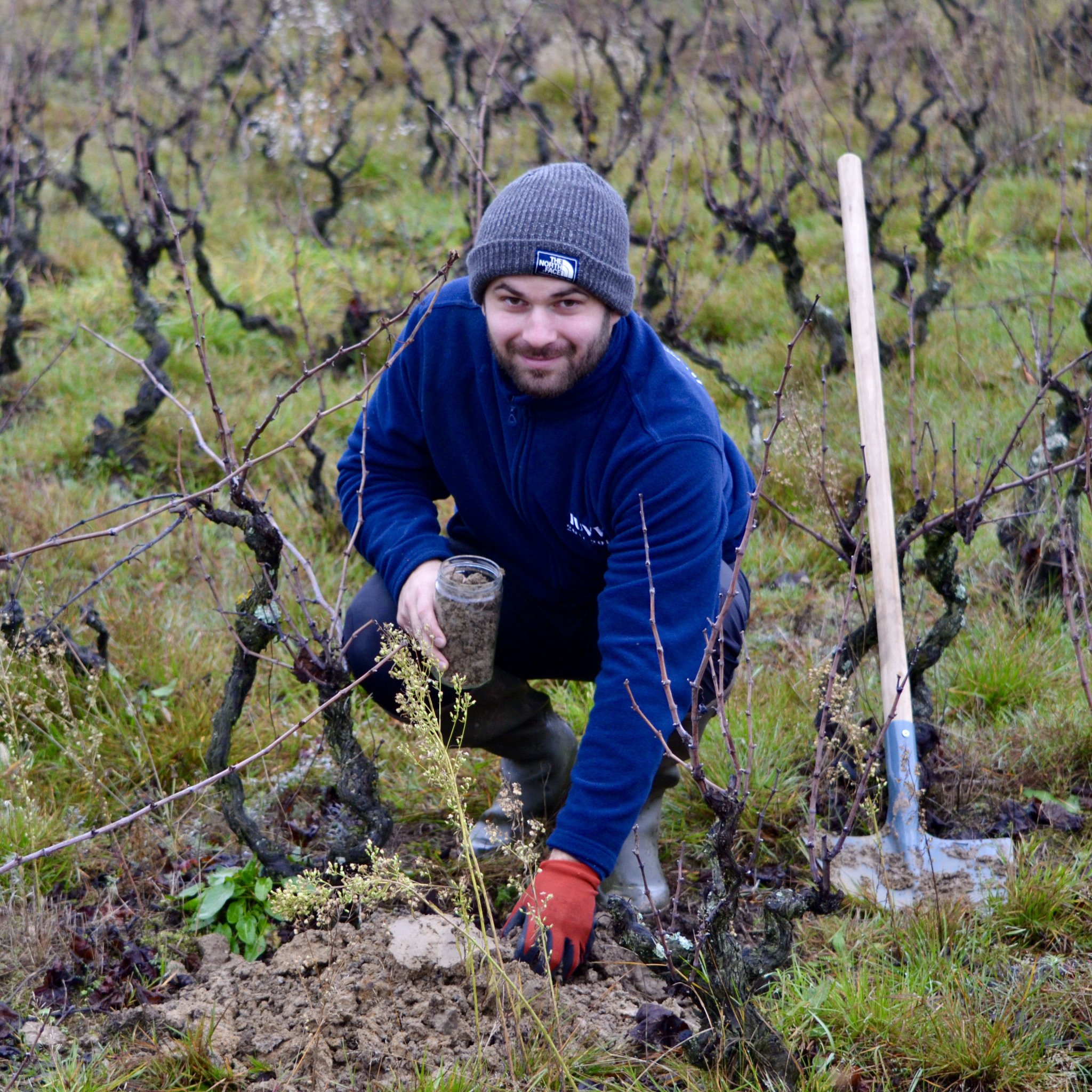 Hugo à la vigne