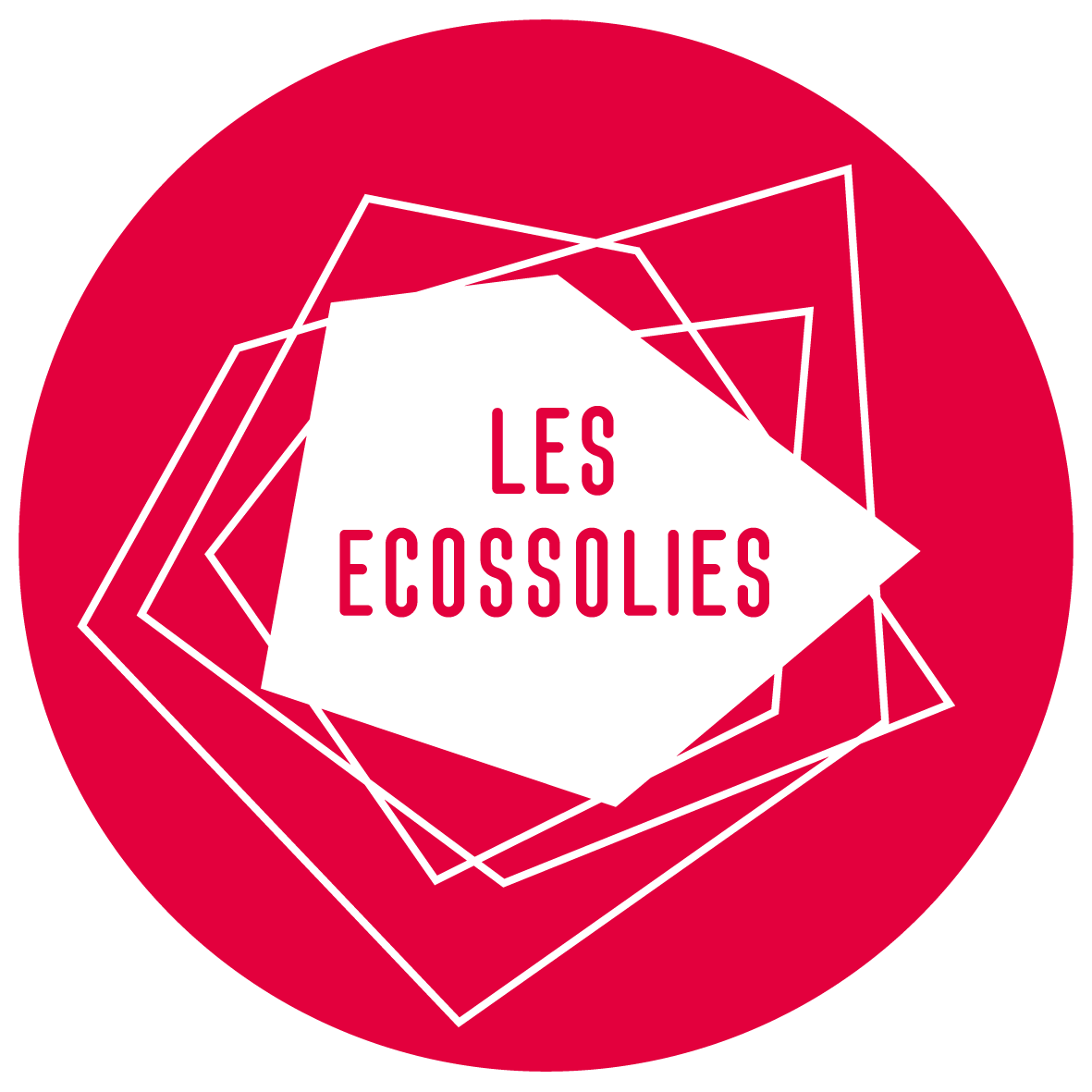 logo_ecossolies