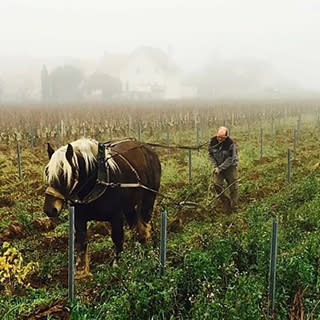 cheval