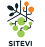 SITEVI