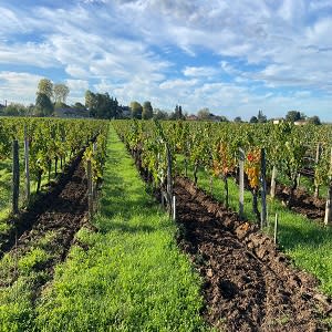 Vignoble clos bel air