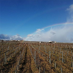 Beaujolais Villages