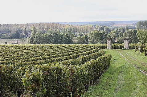 vignes grosbois