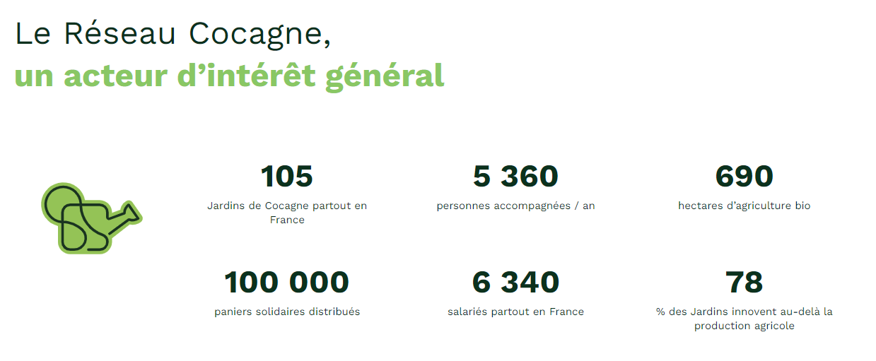 infographie réseau cocagne