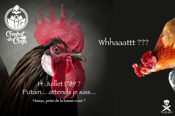 Combats de coq : et mon QI, c’est du poulet ?