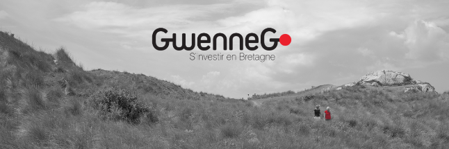 GwenneG, ce n'est pas que pour les Bretons !