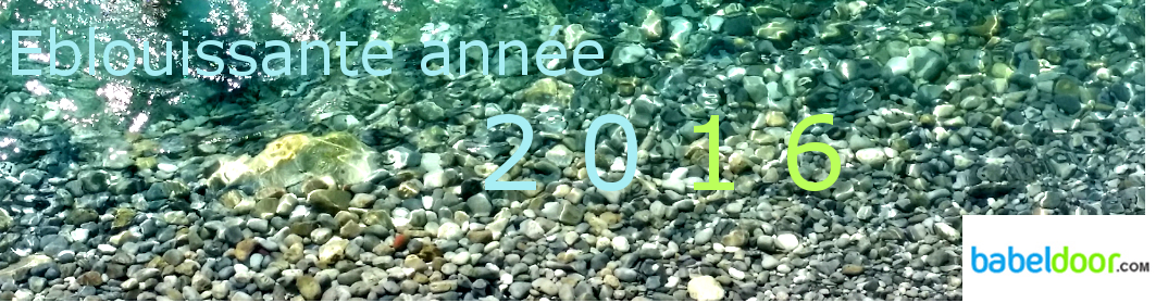 Bonne année 2016 !