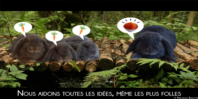 Le Crowdfunding