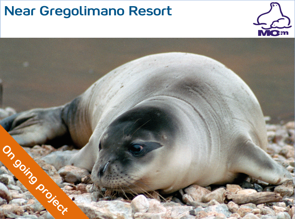 Protection of the monk seals in Greece