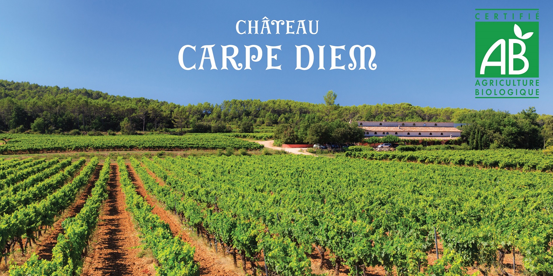 Château Carpe Diem (prêt)