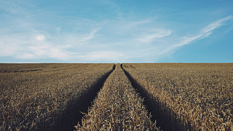 L’agriculture entame sa transformation numérique