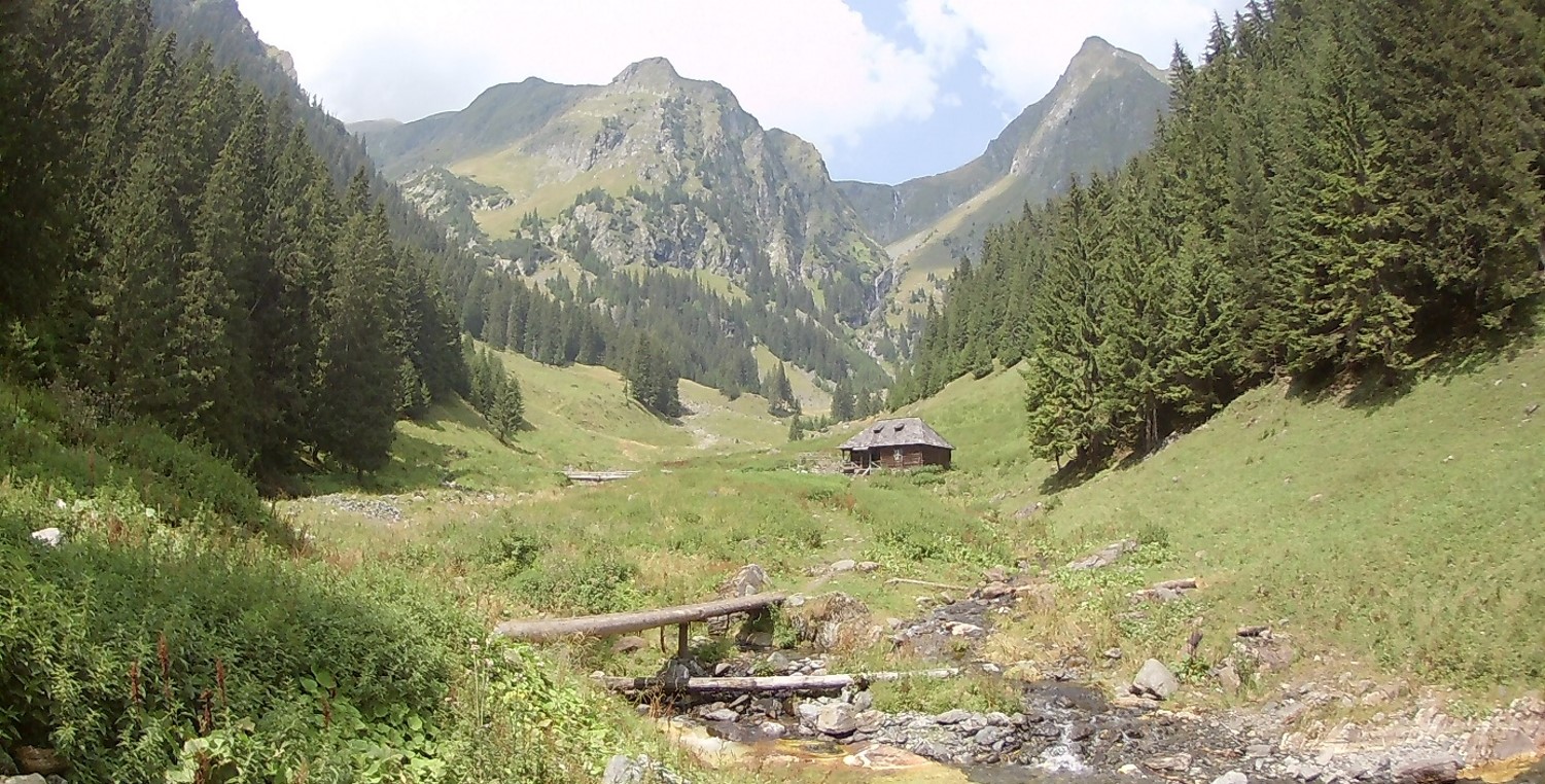 Camp scout dans les Carpates Roumaines