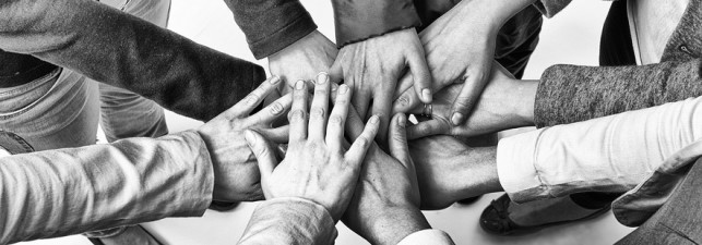 Synthese du projet d'ordonnance sur le crowdfunding