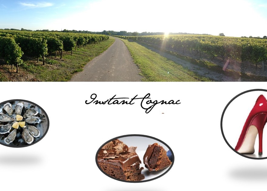 Visites thématiques dans le vignoble de Cognac