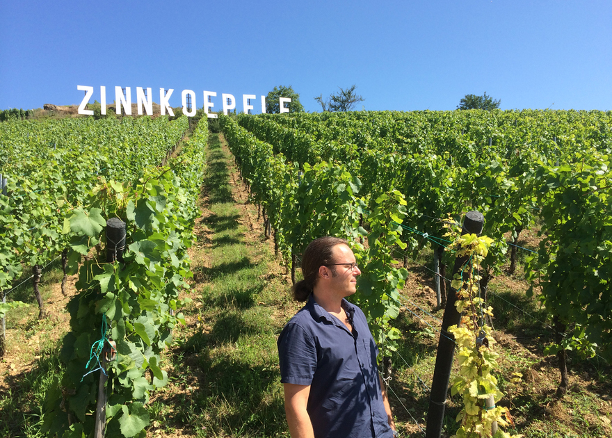 Produire un court-métrage sur le Grand Cru Zinnkoepflé