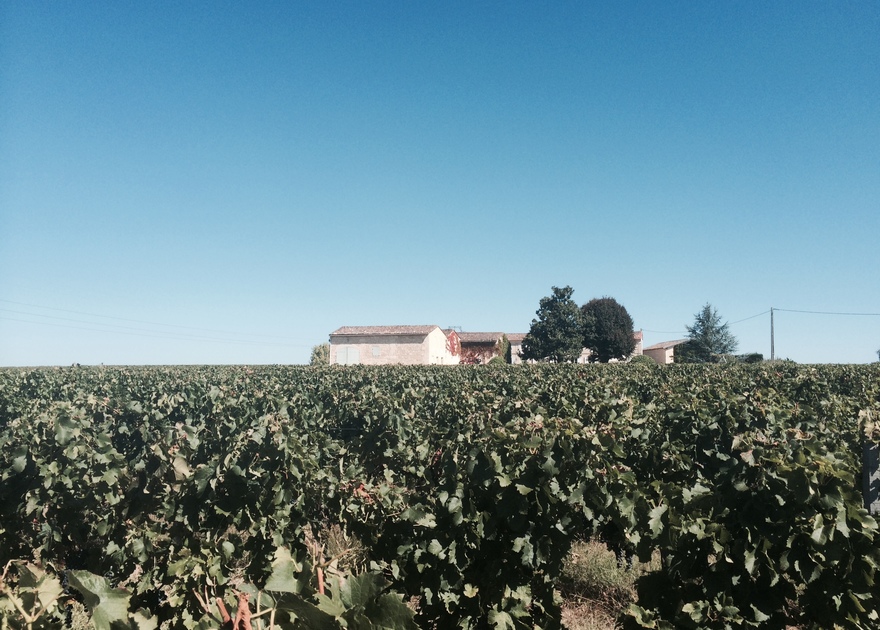 The new organic premium cuvée