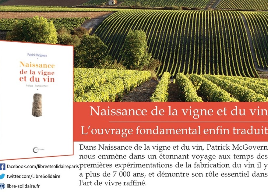 Naissance de la vigne et du vin