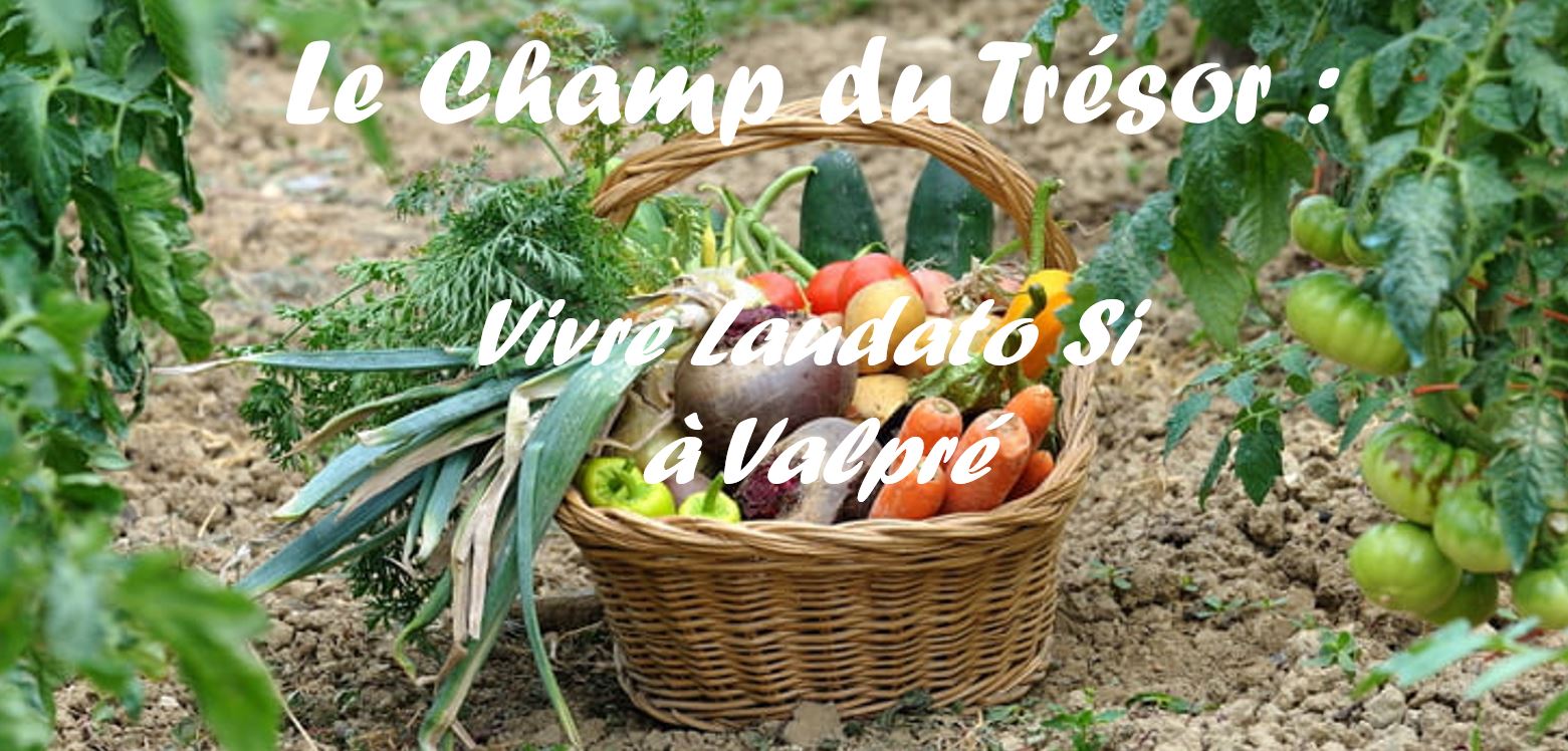 Le Champ du Trésor : un potager partagé à Valpré 