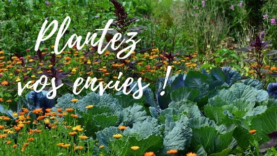 Bons plants pour les potagers!