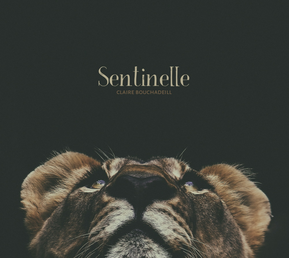 image_thumb_Sentinelle ! Le projet musical de Claire Bouchadeill