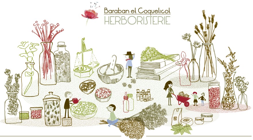 Baraban et Coquelicot - Herboristerie