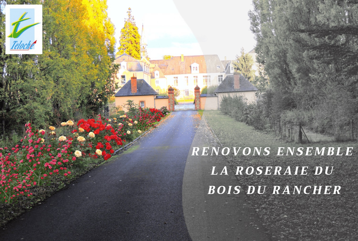 image_thumb_Rénovons ensemble la roseraie du bois du Rancher