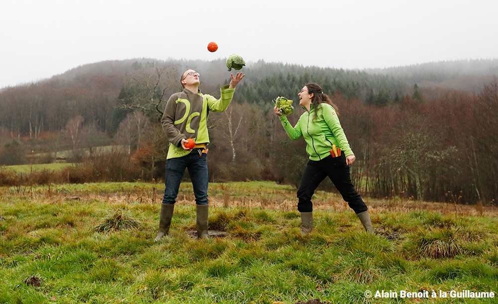 Peinture Par Numéro Adulte Paysage De Campagne - Activité Manuelle