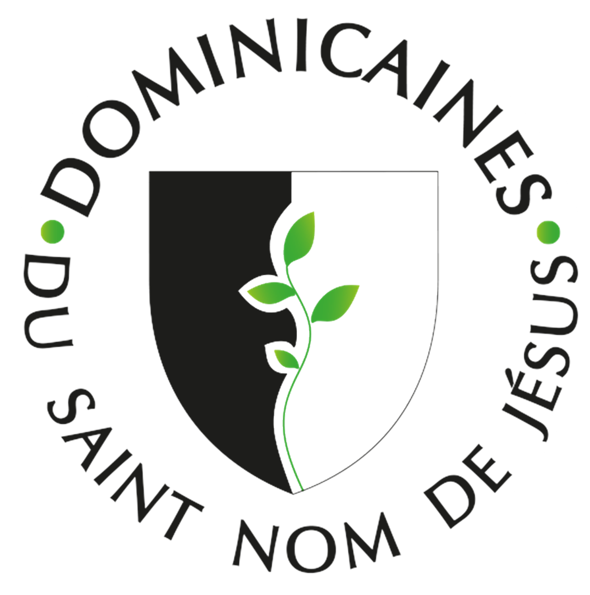 image_thumb_Une Maison d’Alliance à Montréjeau : offrir à nos aînés une vie d’entraide et d’amitié