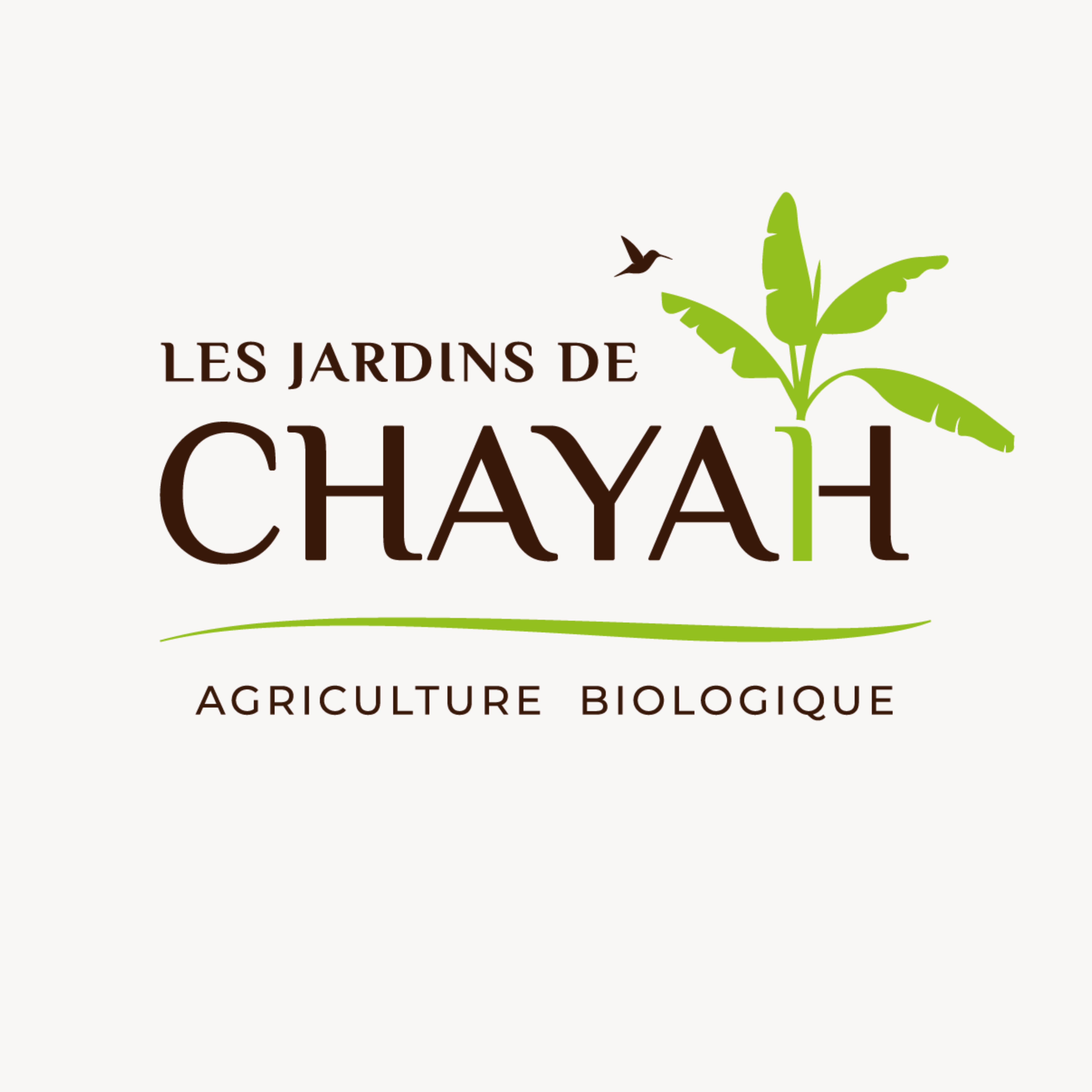 image_thumb_Les Jardins de Chayah