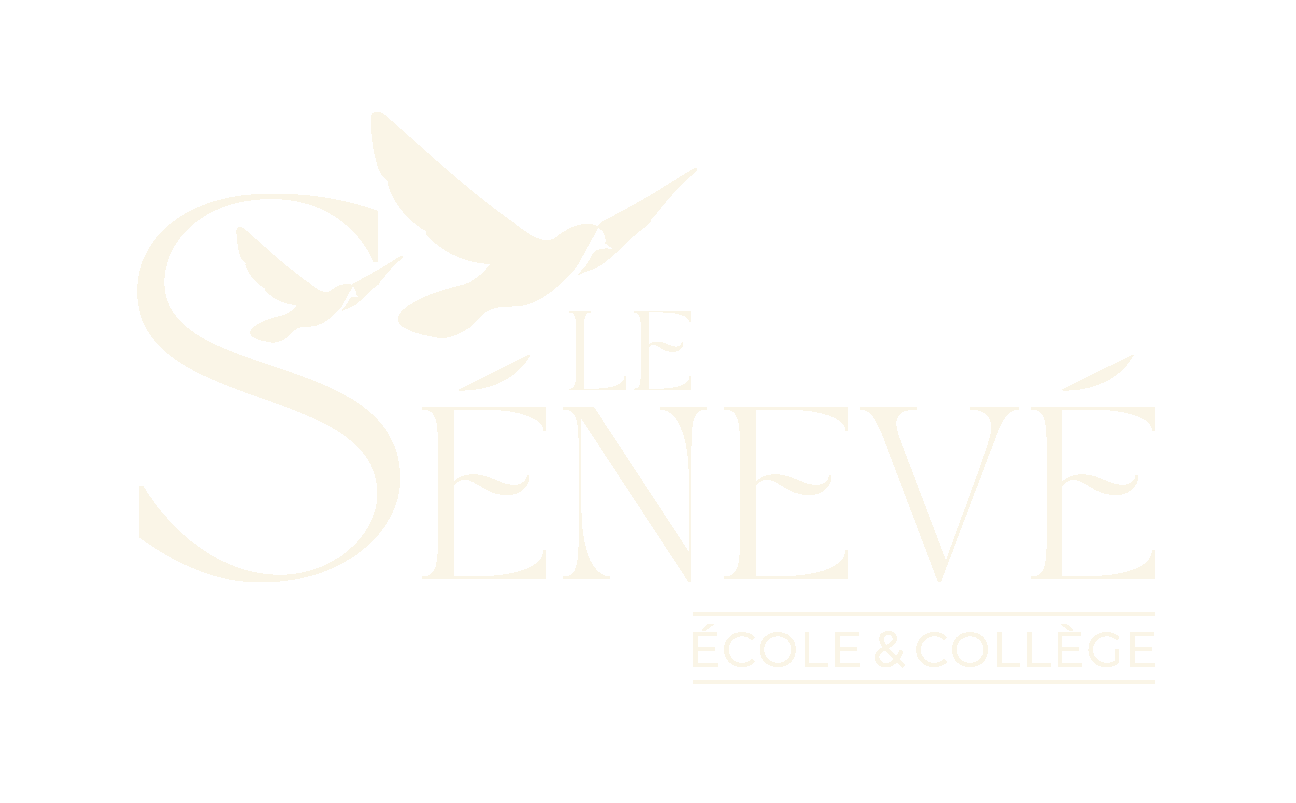 image_thumb_Classe Notre-Dame de l'Espérance : accompagner les enfants porteurs de handicap 