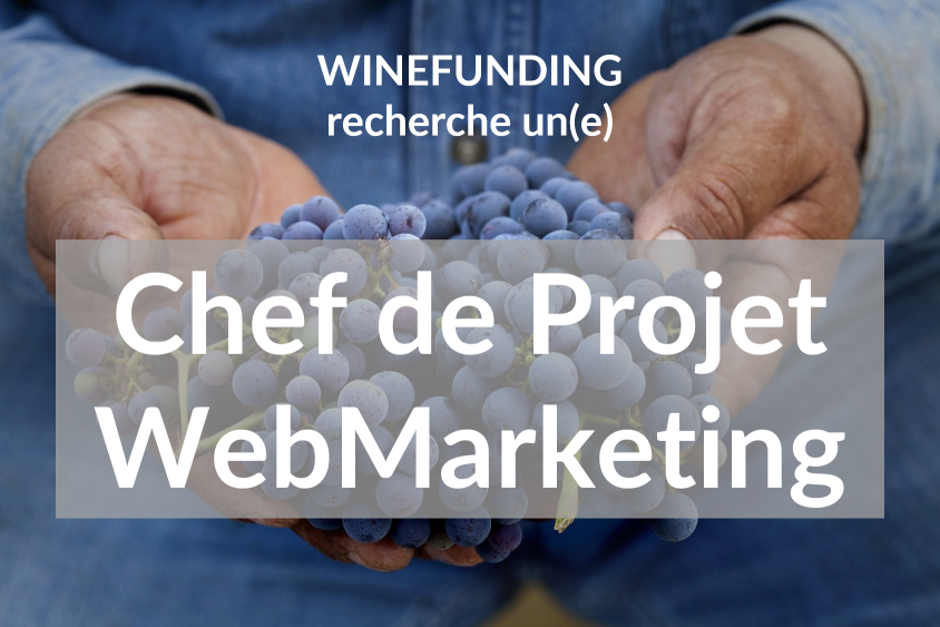 Chef de Projet WebMarketing