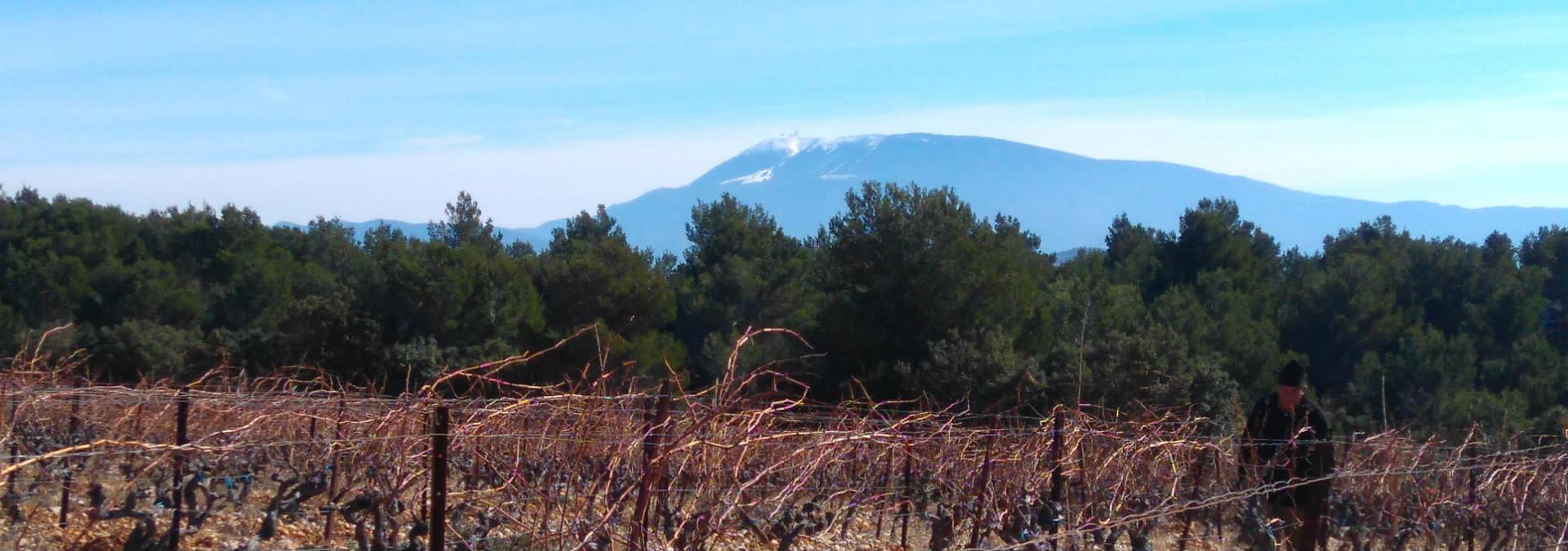 Terroir de Vinsobres