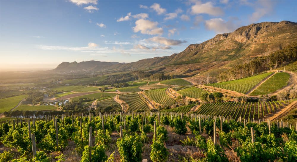 Paysage Afrique du Sud