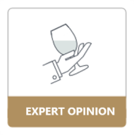 Expert Opinion