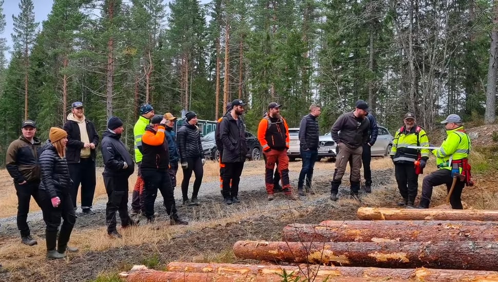 Söker du en karriär inom skogsbruket?