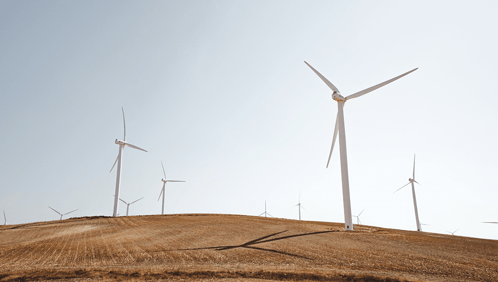 6 enkla sätt att kompensera för ditt klimatutsläpp