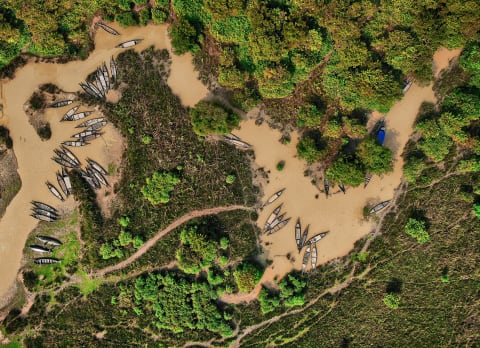 Boats in the flooded Ratargul swamp forest, seen from above