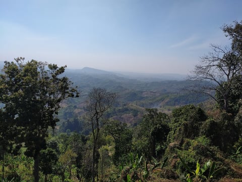 Forested hills and valleys at Sajek