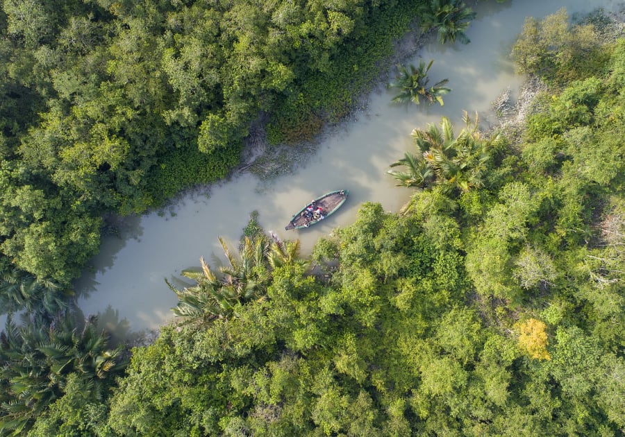 Sundarbans