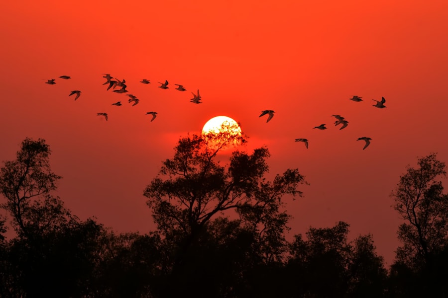 Bangladesh