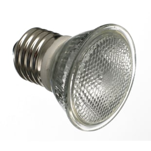 Light Bulb - Incandescent - 15W, 238881