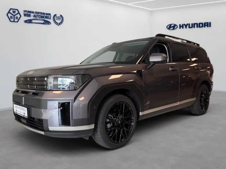 HYUNDAI Santa Fe Hybrid Signature 4WD inkl Winterräder Vorschau Bild