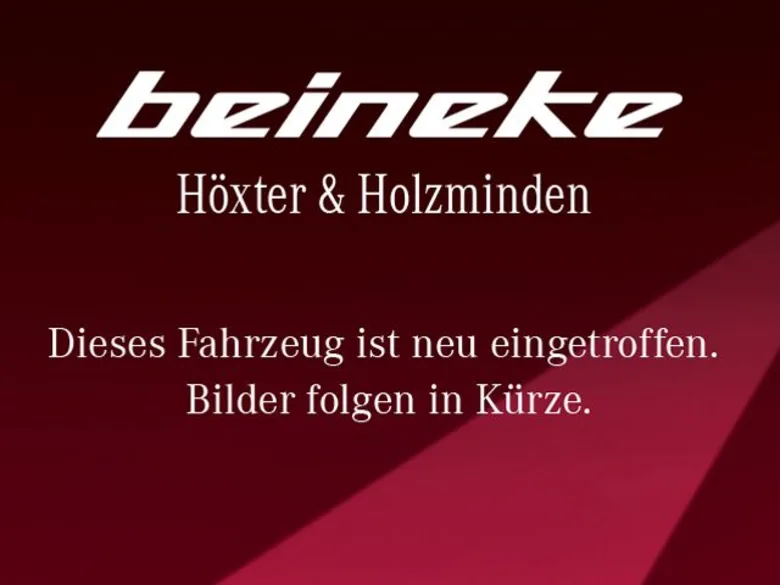 HYUNDAI Kona 2.0 T-GDI N Performance Assistenz Glasdach Vorschau Bild