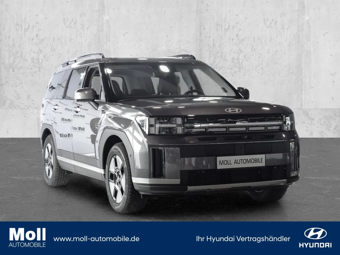 HYUNDAI Santa Fe Hybrid INTRO 6-AT 4WD HUD Niveau Navi L Vorschau Bild