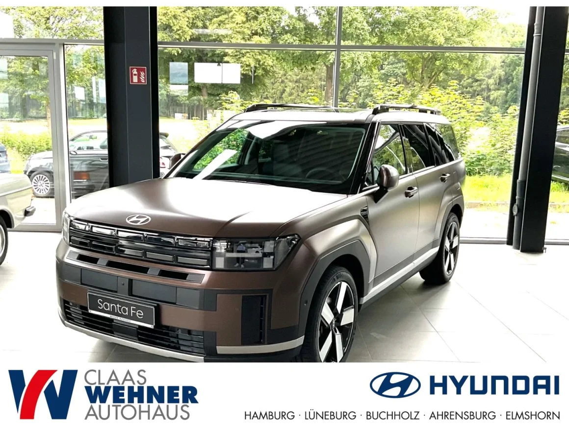 HYUNDAI Santa Fe HEV 4WD Signature *Schiebedach, Technik Vorschau Bild