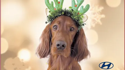 Öffnungszeiten Feiertage 2025