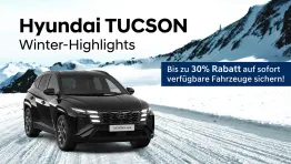 Hyundai Tucson Winter-Highlights