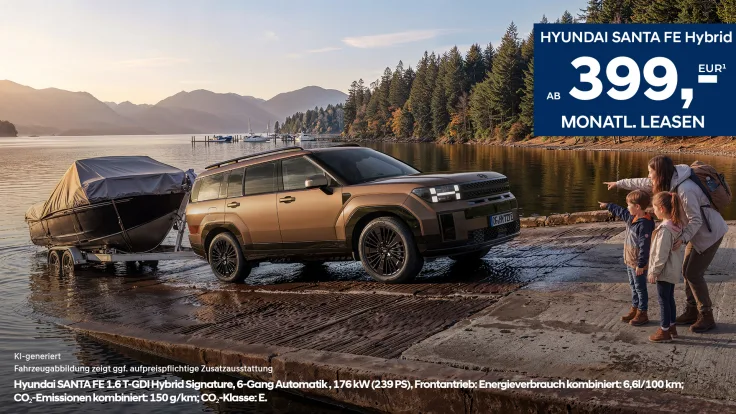 Hyundai SANTA FE Anhängelast
