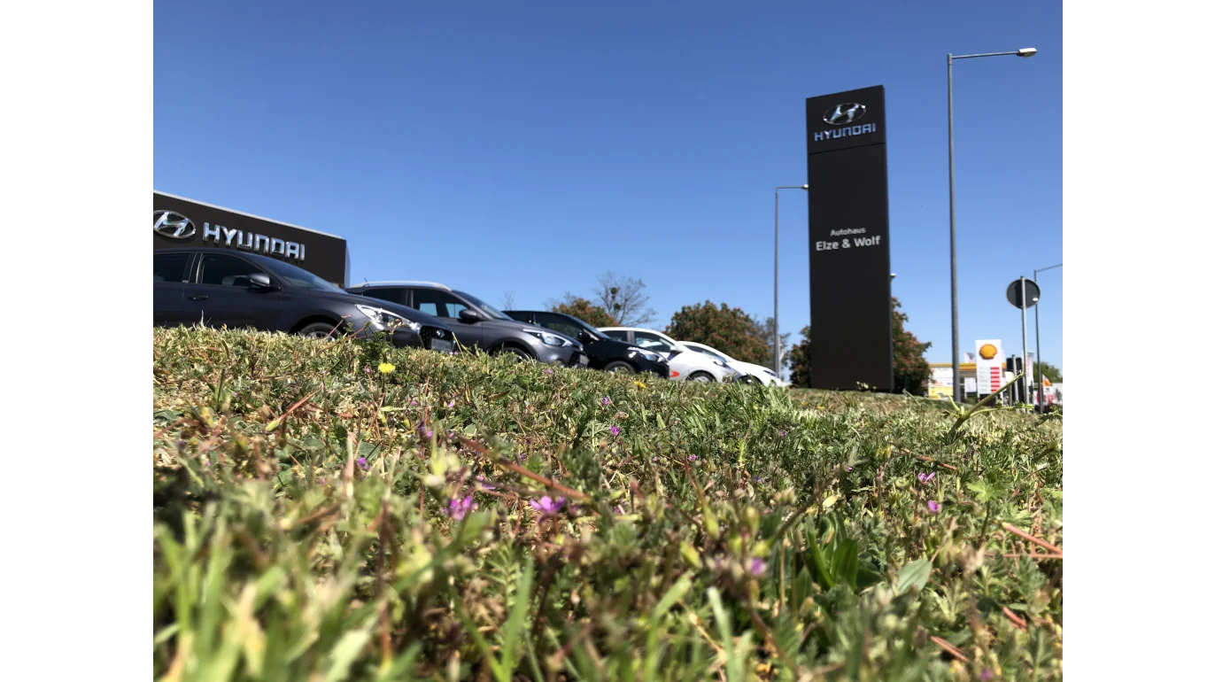 Default Teaser Image